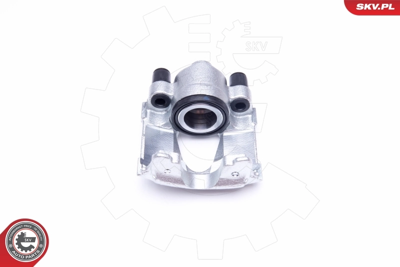 Brake Caliper 42SKV681