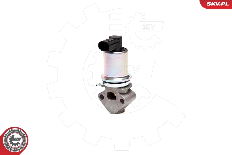 EGR Valve 14SKV043