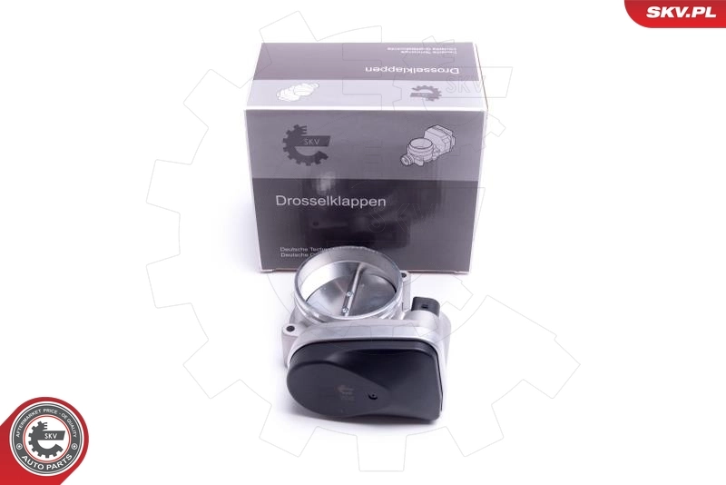 Throttle Body 12SKV123