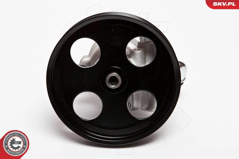 Hydraulic Pump, steering 10SKV002