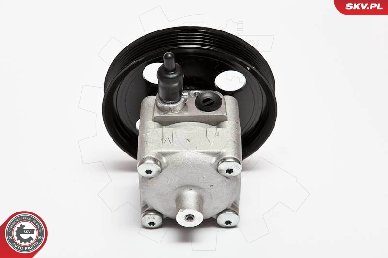 Hydraulic Pump, steering 10SKV092