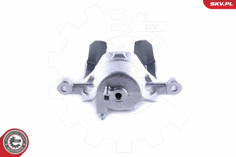 Brake Caliper 50SKV782
