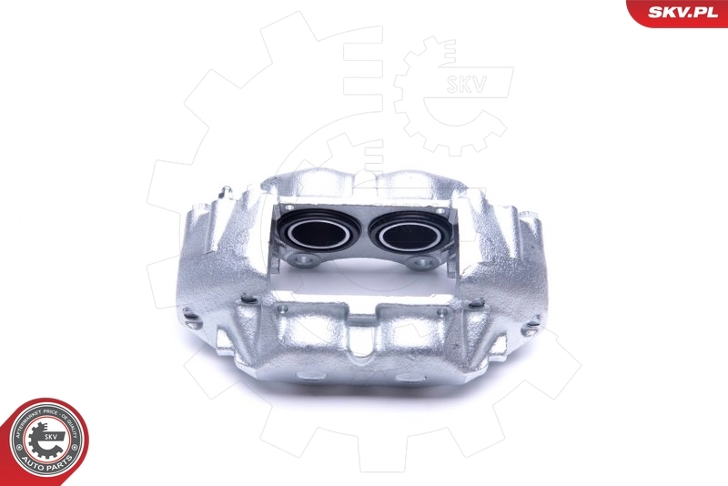 Brake Caliper 45SKV231