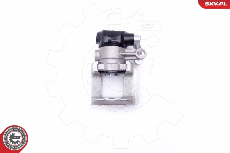 Brake Caliper 42SKV103