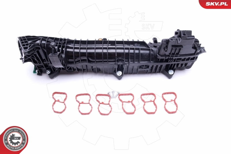 Módulo colector de admisión 49SKV039