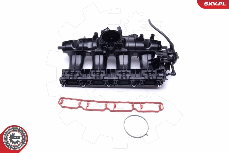 Intake Manifold Module 49SKV003