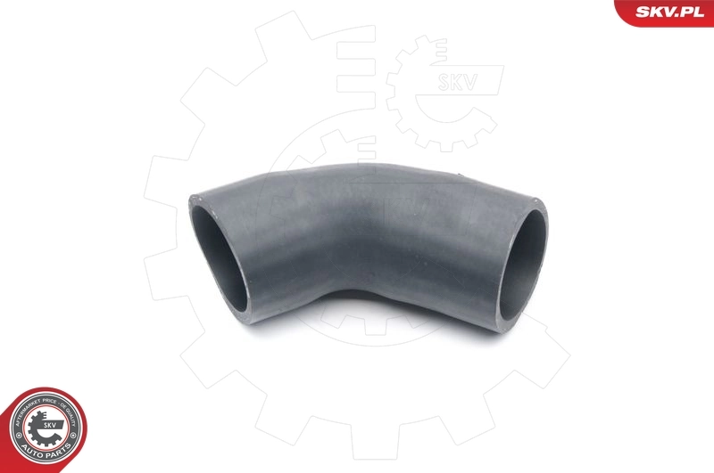 Charge Air Hose 24SKV219