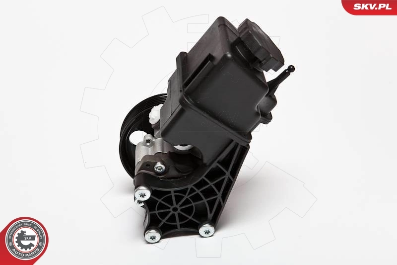 Hydraulic Pump, steering 10SKV107