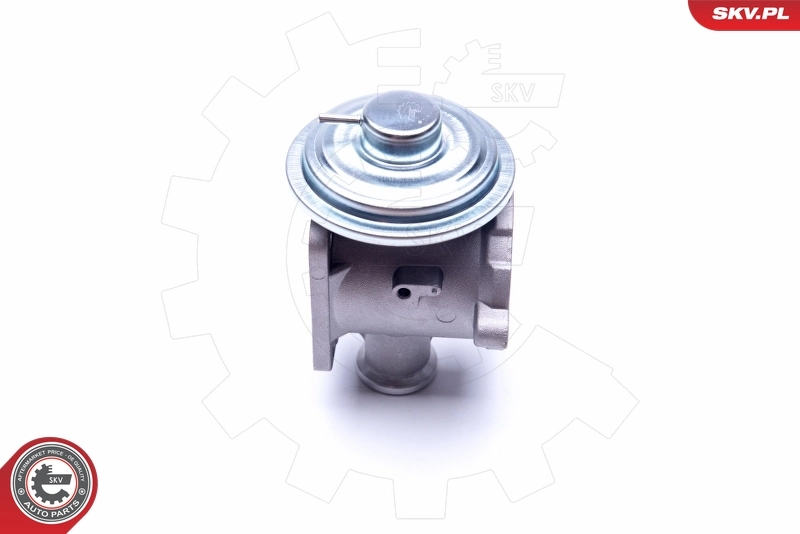 EGR Valve 14SKV177