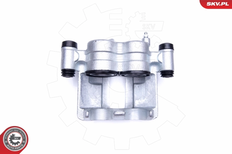 Brake Caliper 42SKV872