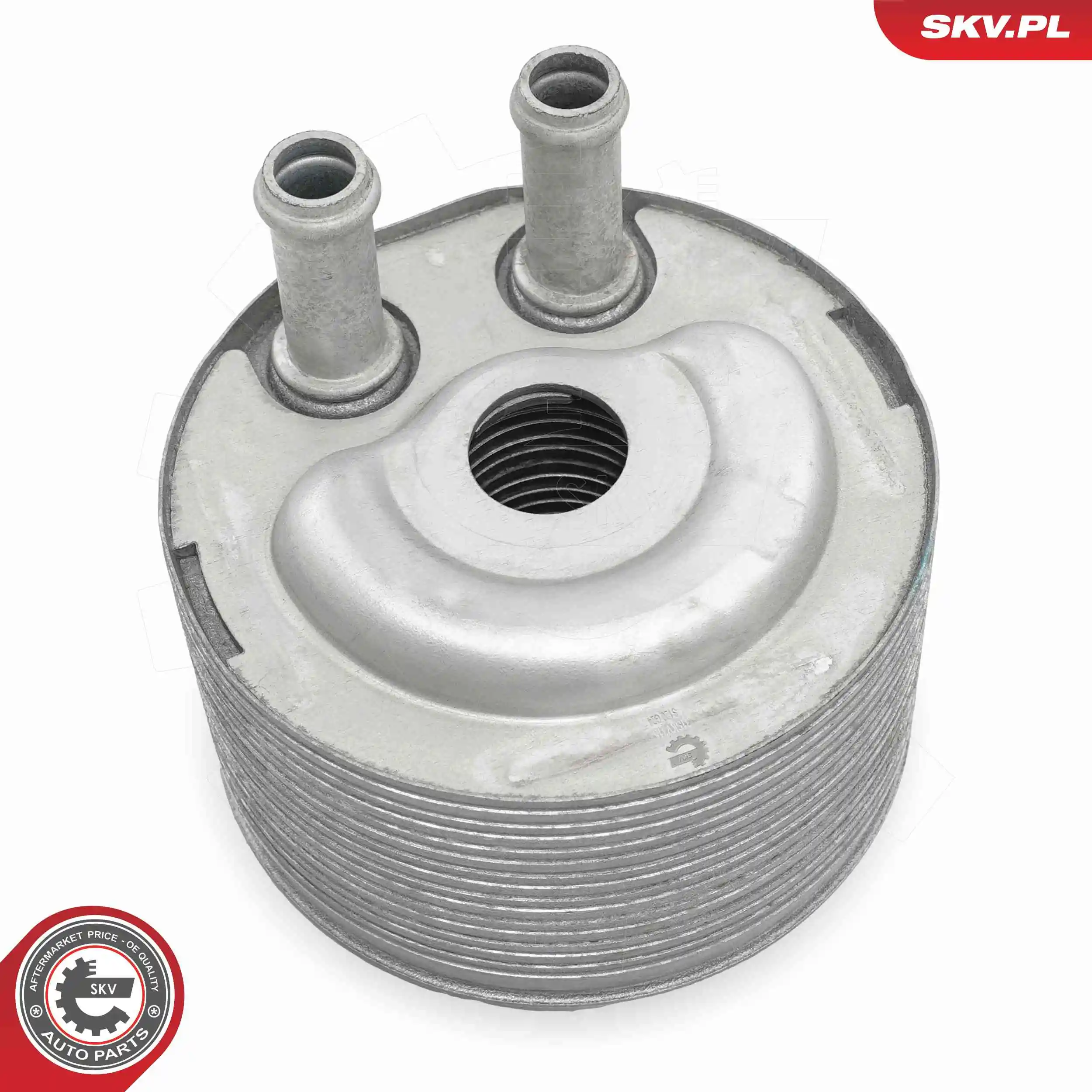 Oil Cooler, engine oil 31SKV315