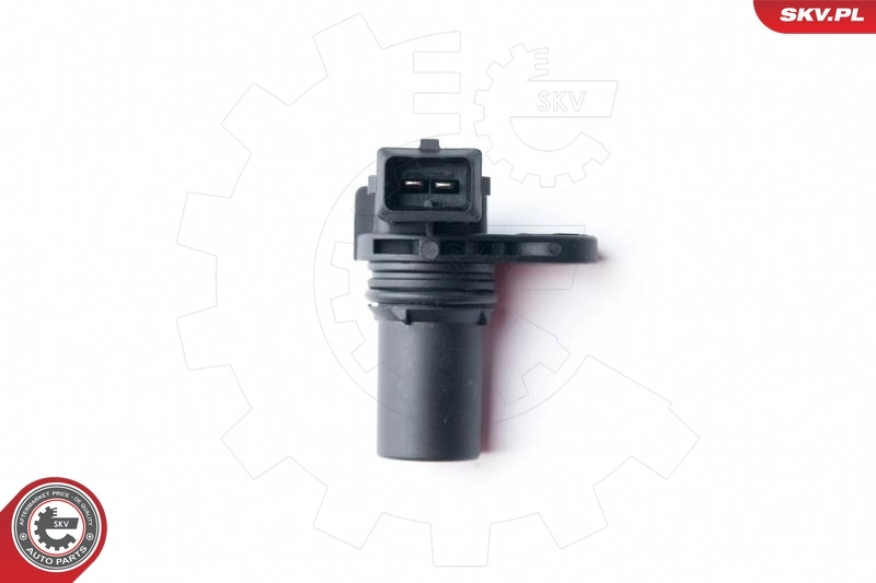 Sensor, camshaft position 17SKV259