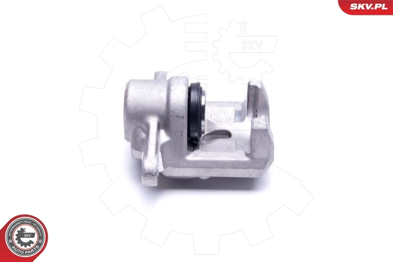 Brake Caliper 55SKV453