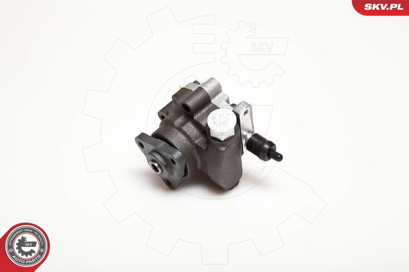 Hydraulic Pump, steering 10SKV095