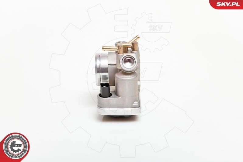Throttle Body 12SKV027