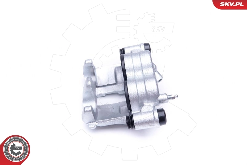 Brake Caliper 42SKV882