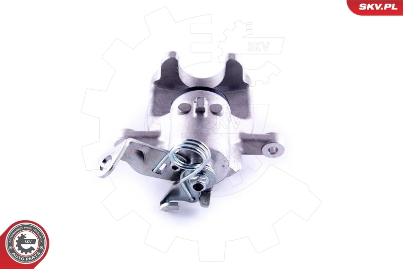 Brake Caliper 55SKV193