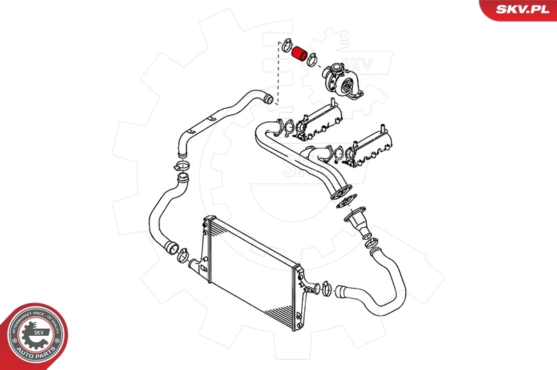 Charge Air Hose 24SKV036
