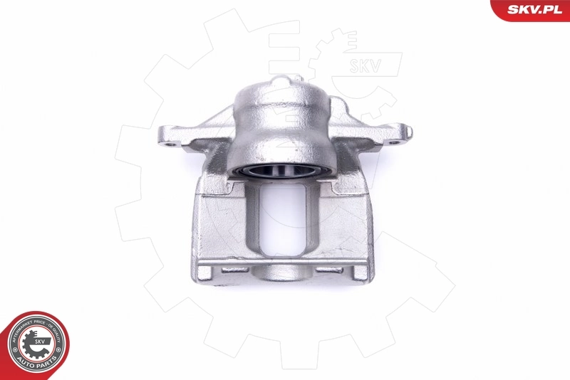 Brake Caliper 46SKV962