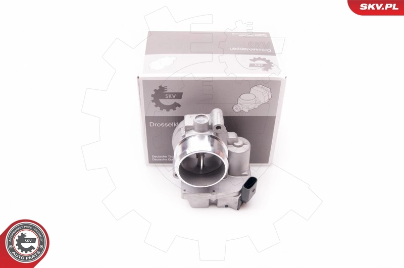 Throttle Body 12SKV057