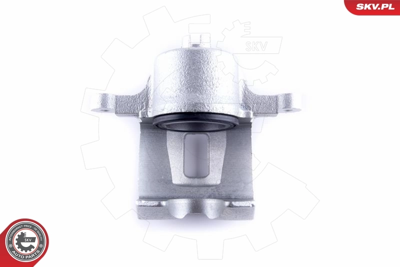 ESEN SKV 50SKV881 Brake Caliper