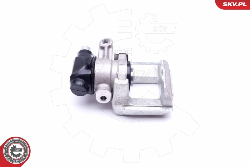Brake Caliper 42SKV103