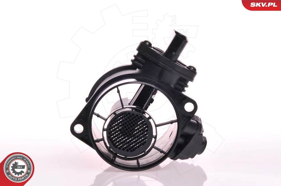 Mass Air Flow Sensor 07SKV089