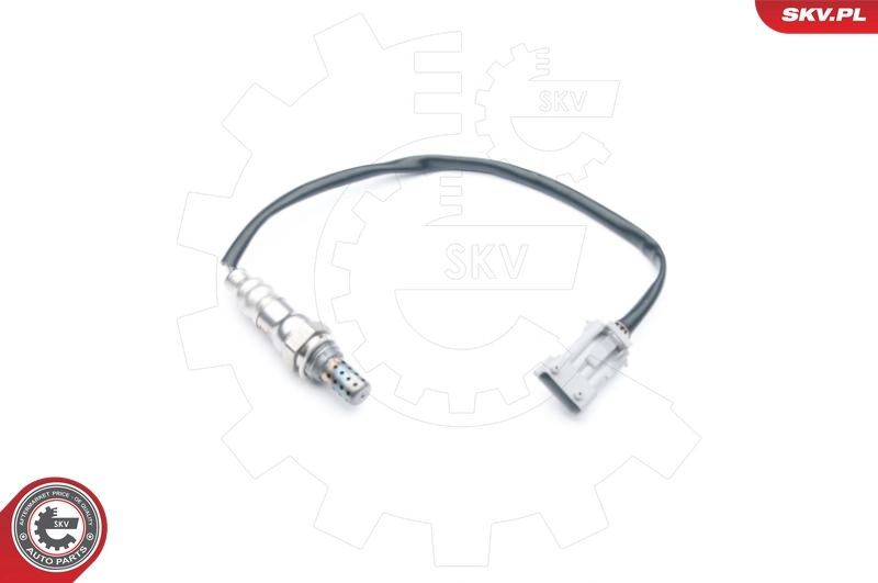 Oxygen Sensor 09SKV687