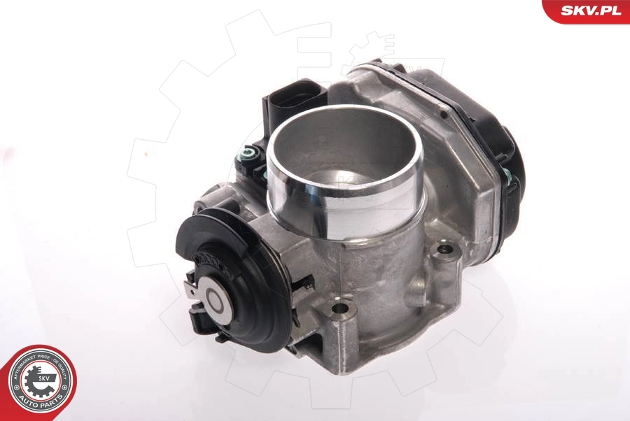 Throttle Body 12SKV019