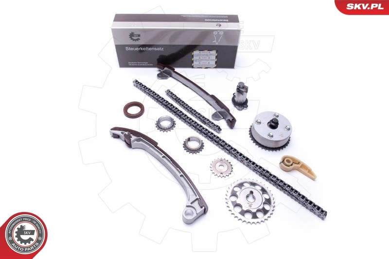 Timing Chain Kit 21SKV197
