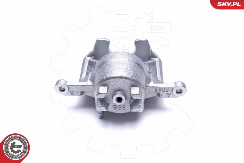 Brake Caliper 50SKV922