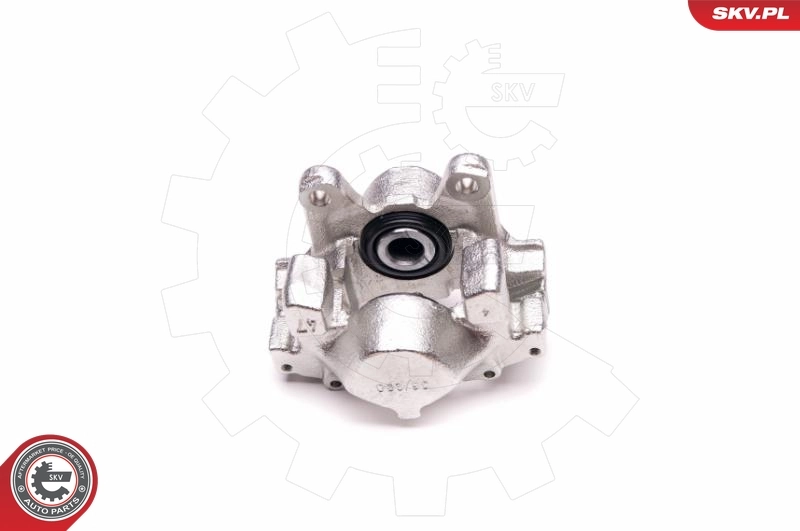 Brake Caliper 23SKV388