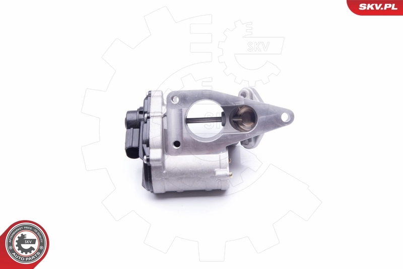 EGR Valve 14SKV168