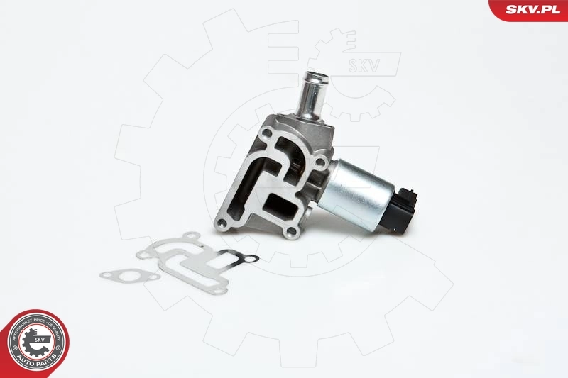 EGR Valve 14SKV030