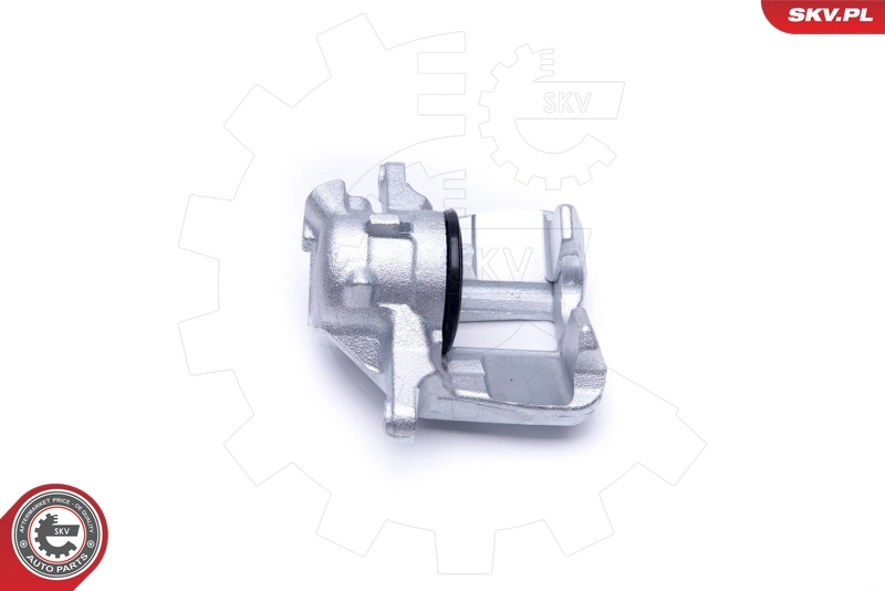 Brake Caliper 50SKV332
