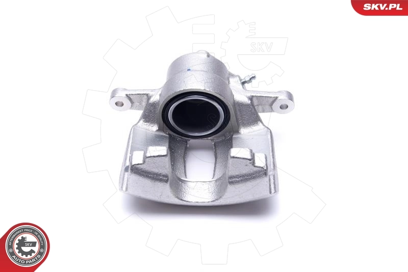 Brake Caliper 55SKV972