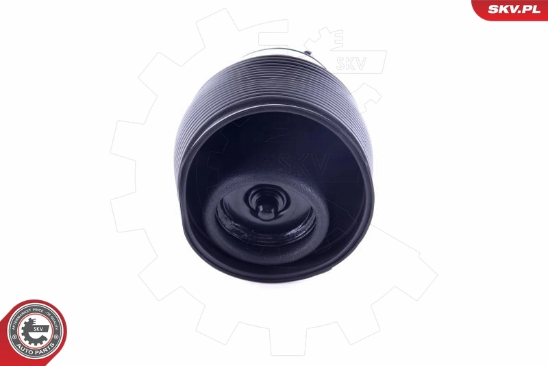 Air Spring, suspension 58SKV005