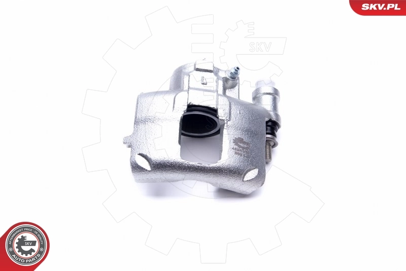 Brake Caliper 46SKV301
