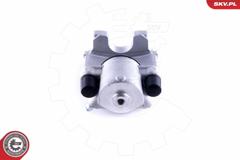 Brake Caliper 55SKV333