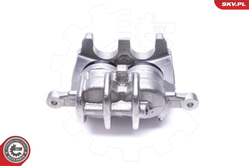 Brake Caliper 55SKV681