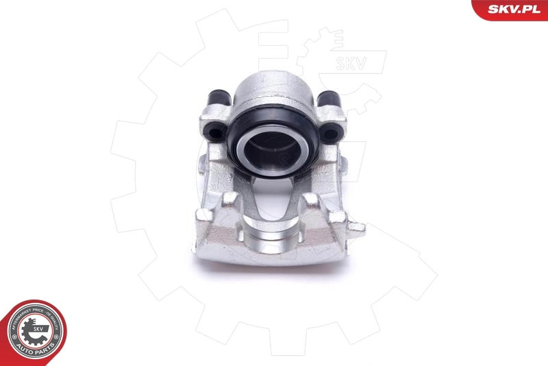 Brake Caliper 55SKV861