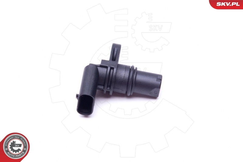 Sensor, camshaft position 17SKV488