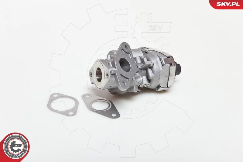Injap AGR 14SKV038