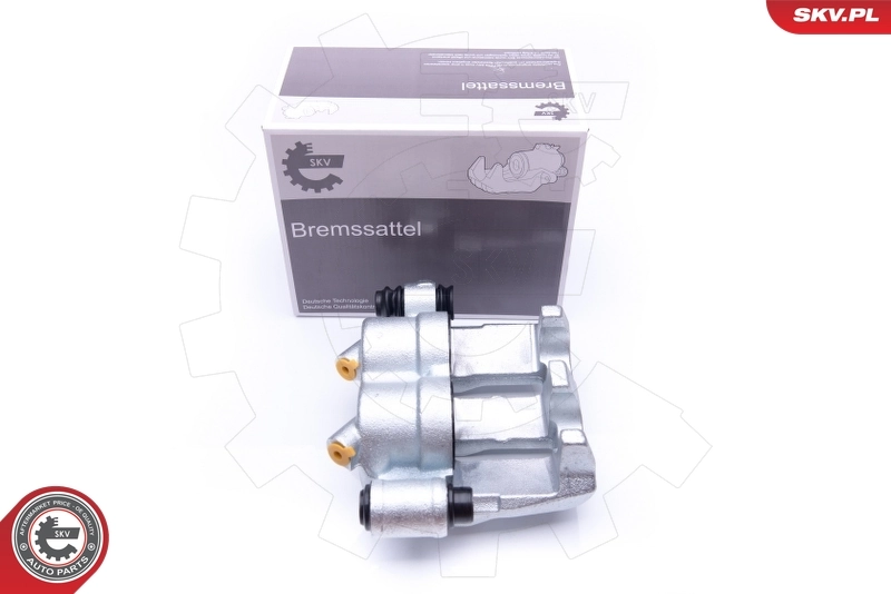 Brake Caliper 42SKV071