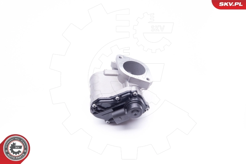 EGR Valve 14SKV168