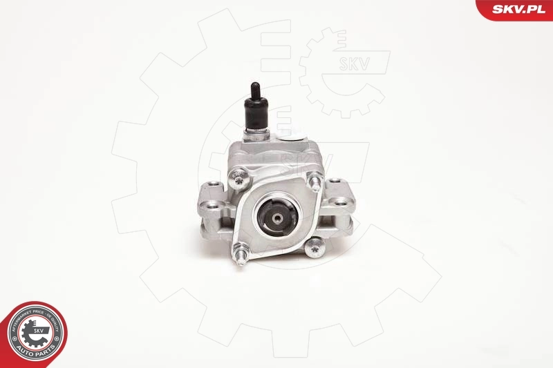 Hydraulic Pump, steering 10SKV109