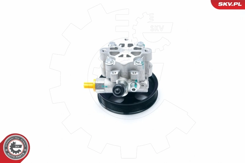 Hydraulic Pump, steering 10SKV195