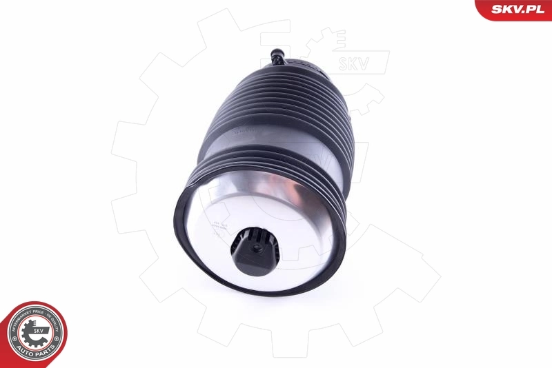 Air Spring, suspension 58SKV008