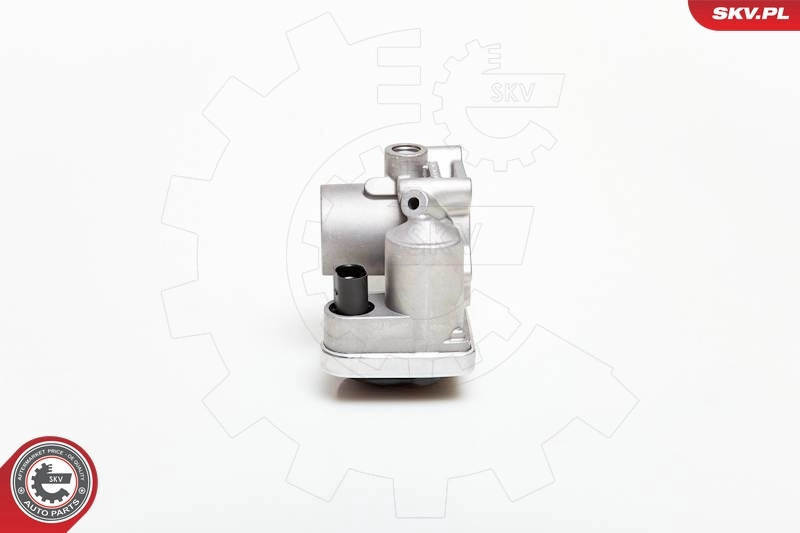 Throttle Body 12SKV030