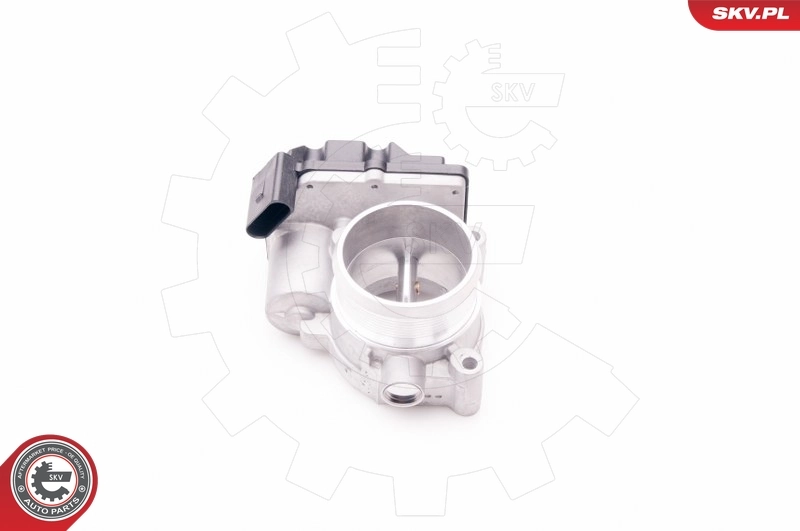 Throttle Body 12SKV059